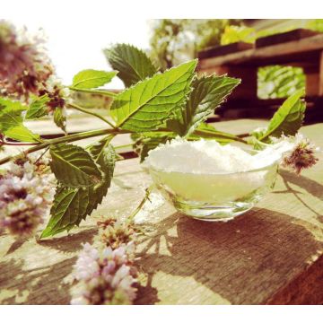 Mentol přírodní 100 g (Menthol)
