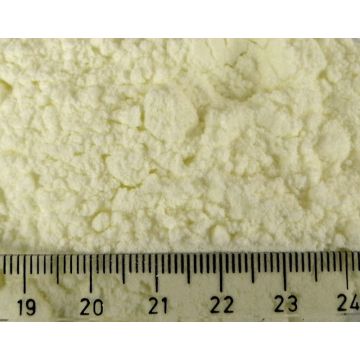 Laktóza (mléčný cukr), 1 kg