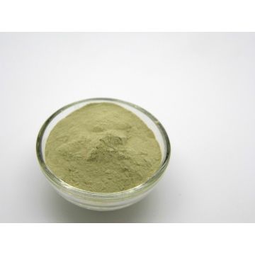 BIO Zelený jíl, 22 kg