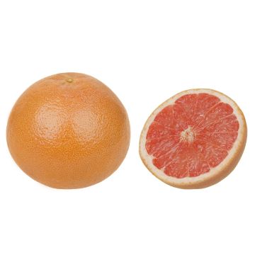 Grapefruitová silice - červený grep, 0,5 l