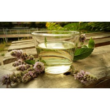Peprnomátová silice, 500 ml