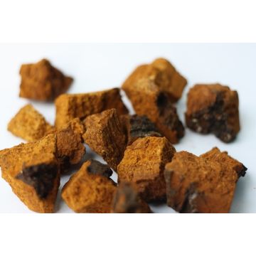 BIO Chaga 50 g