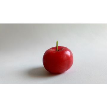 Acerola (25 % vit. C), 100 g